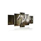 Arkiio Tavla Horse Running 100x50
