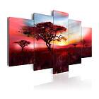 Arkiio Tavla Wild Savannah 200x100
