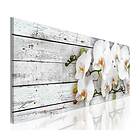 Arkiio Tavla White Dreams 120x40 A3-N3445