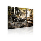 Arkiio Tavla Black Horse And Rocky Waterfall 60x40