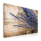Arkiio Tavla Lavander 90x60 A3-N2833-DK