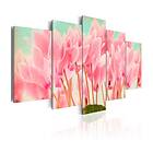 Arkiio Tavla Cyclamen 100x50 A3-N2890