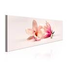 Arkiio Tavla Beautiful Magnolias 135x45 A3-N6532-DKX