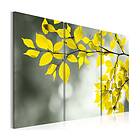 Arkiio Tavla Gold sprig 90x60