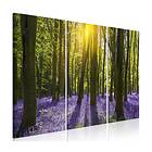 Arkiio Tavla Hyacinth Field 3 delar (3 Parts) 90x60 A3-N7922-DK