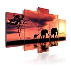 Arkiio Tavla African Elephants Family 100x50
