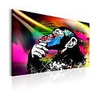 Arkiio Tavla Monkey Disco 90x60 A3-N5611-DKX