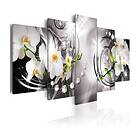 Arkiio Tavla Orchid Pearls and Diamonds 200x100