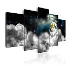 Arkiio Tavla Magic Night II 200x100 A3-N7159-DK