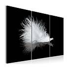 Arkiio Tavla A small Feather 90x60