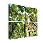 Arkiio Tavla Treetops 90x90 A3-N1993-90x90