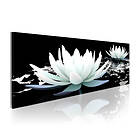 Arkiio Tavla Alabaster Lilies 120x40