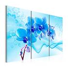 Arkiio Tavla Ethereal orchid blue 90x60
