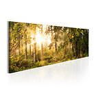Arkiio Tavla Autumn Sigh 135x45 A3-N5861-DKX
