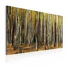 Arkiio Tavla The mystery of Sherwood Forest triptych 90x60