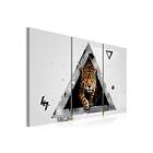 Arkiio Tavla Grönögda Gepard 120x80