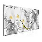Arkiio Tavla Flowering Silver (1 Part) Narrow 120x40 A3-N7198-DK