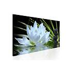 Arkiio Tavla Zen Garden Narrow (1 Part) 150x50 A3-N7850-DK150