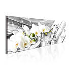 Arkiio Tavla Twisted Orchids 150x50 A3-N6378-DK150