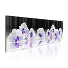 Arkiio Tavla Water Orchids 150x50 A3-N3826-DK150