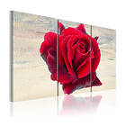 Arkiio Tavla Lyrical rose 90x60