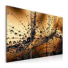 Arkiio Tavla Dandelions and dew 90x60