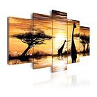 Arkiio Tavla Wild Africa 100x50 A3-N3365