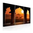 Arkiio Tavla The Tranquillity Of Africa Triptych 120x80