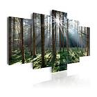 Arkiio Tavla Fairytale Forest 100x50 A3-N4288