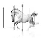 Arkiio Tavla Passion And Freedom Horse- 200x100
