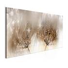 Arkiio Tavla Drops Of Dew Brown Narrow 135x45