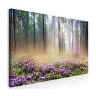 Arkiio Tavla Purple Meadow (1 Part) Wide 120x60 A3-N7946-DK