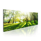 Arkiio Tavla Rays Of Sunshine 120x40