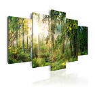 Arkiio Tavla Green Sanctuary 200x100 A3-N5857-DKX