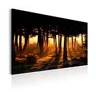 Arkiio Tavla Forest Dawn 90x60 A3-N6231-DK