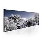 Arkiio Tavla Wintry Lake 120x40 A3-N6050