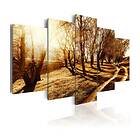 Arkiio Tavla Amber Orchard 200x100