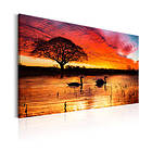 Arkiio Tavla Swan Lake 90x60 A3-N6759
