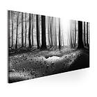 Arkiio Tavla Forest after Rain (1 Part) Narrow 150x50
