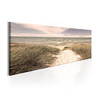 Arkiio Tavla Summer Dream 120x40 A3-N5916