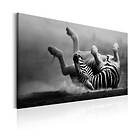 Arkiio Tavla Fun in the Dust 120x80