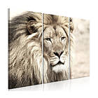Arkiio Tavla Retro Map Beige 3 delar The King of Beasts (3 Parts) 90x60 A3-N7951-DK