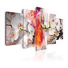 Arkiio Tavla Colorful Background and Orchids 200x100