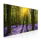Arkiio Tavla Hyacinth Field (1 Part) Narrow 135x45 A3-N7936-DKXL