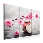 Arkiio Tavla Zen Cherry Blossoms II 120x80 A3-N6688-DKX