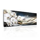 Arkiio Tavla Touch Of Innocence 135x45