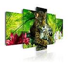 Arkiio Tavla Jaguar 200x100 A3-N6509-DKX