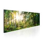 Arkiio Tavla Forest Shelter 135x45 A3-N5860-DKX