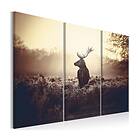 Arkiio Tavla Lurking Deer I 120x80 A3-N7088-DK