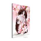 Arkiio Tavla Sweet Kitty (1 Part) Vertical 80x120 A3-N7968-DK